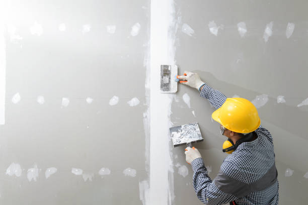 Professional Drywall & Painting Services in Camp Point, IL